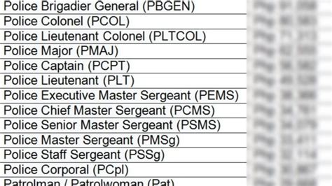 pssg meaning in police
